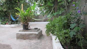 Rafjam Bed And Breakfast Kingston Esterno foto