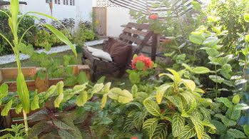 Rafjam Bed And Breakfast Kingston Esterno foto